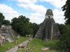 The stelae at Tikal offer fantastic insights into the cosmology of the Maya and the entry into the dark rift (Galactic Mother).
